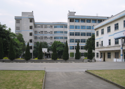 1996年